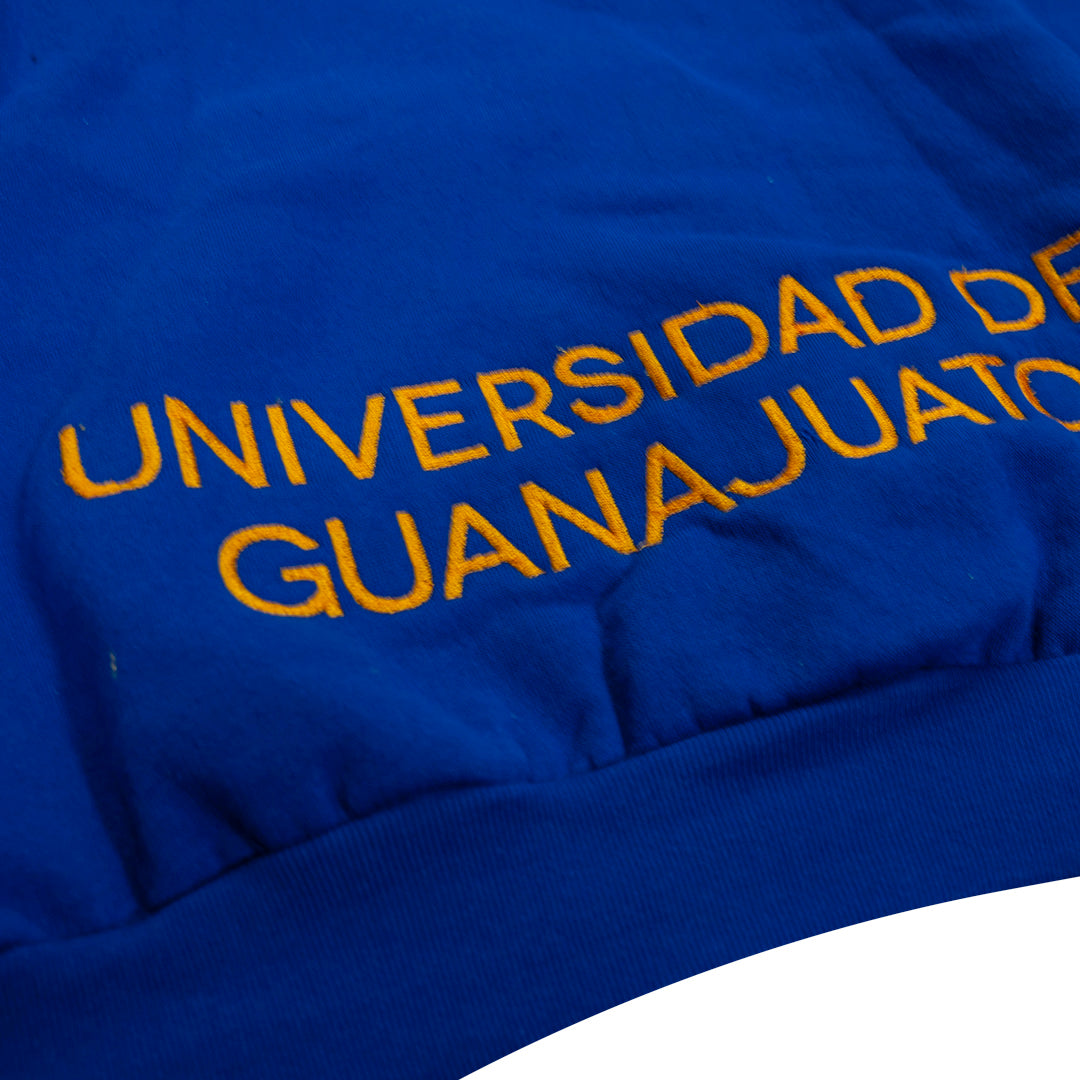 Universidad de guanajuato